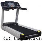 Беговая дорожка Steel Flex 8000